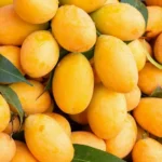 nutritional-value-of-mangoes-jpg