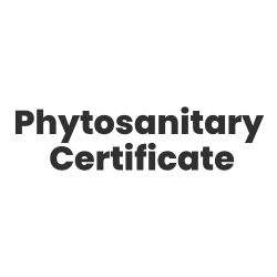 certification file