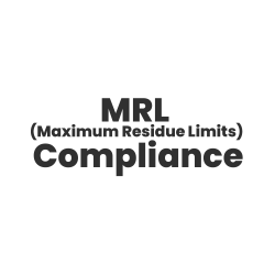 certification file 4